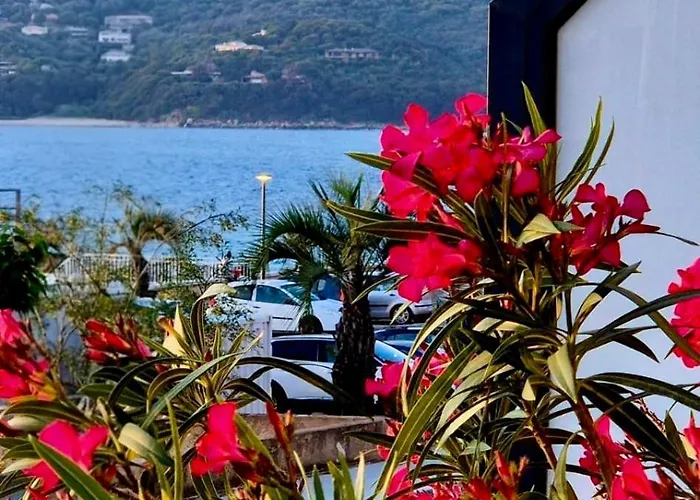T2 De Standing Front De Propriano (Corsica)