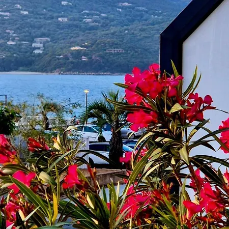 T2 De Standing Front De Propriano (Corsica)